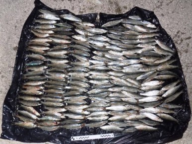 � ������ ����� ���������� ������������ ������� ������ � ��� ������� ���� ������ �� ����������� �������