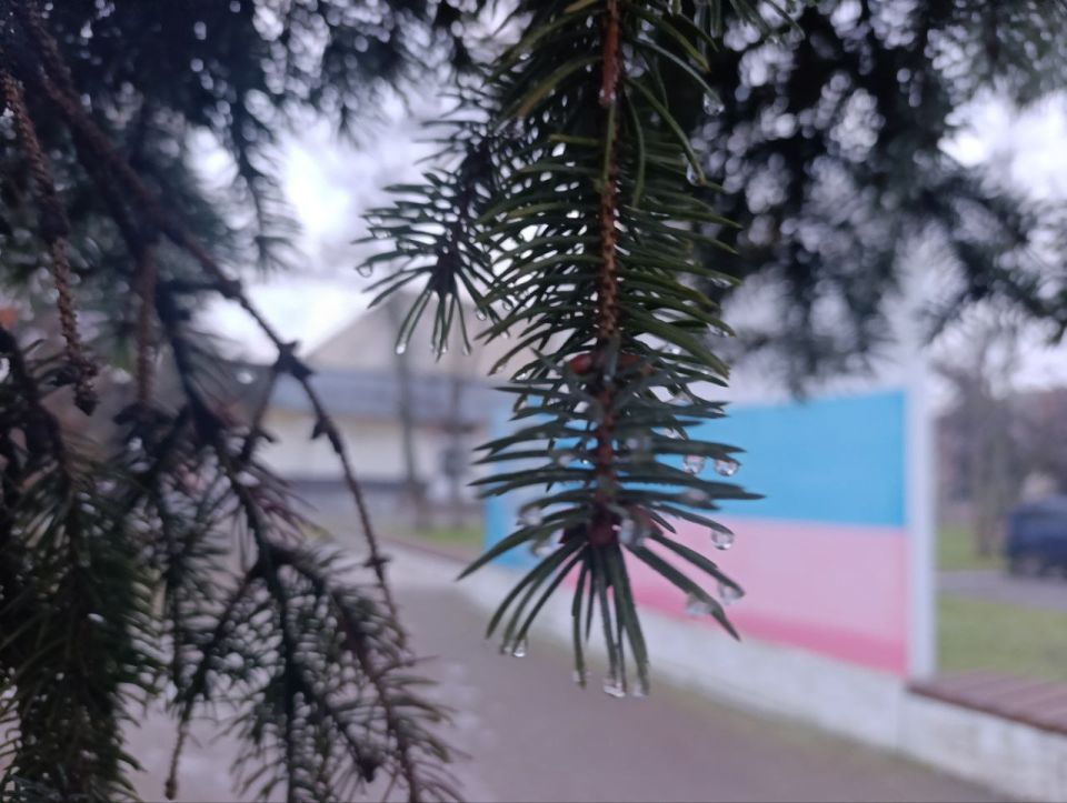 ���� ��������: ������ ����, ������ � ����� ����������� ������!