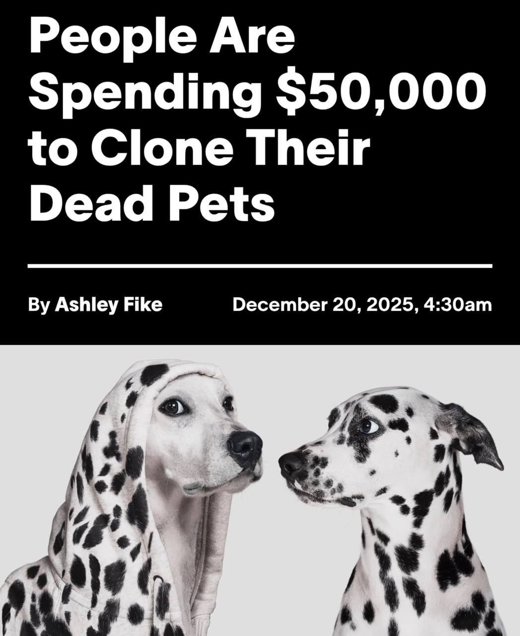 Богачи клонируют своих умерших питомцев за $50 тысяч