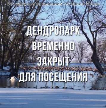 ���������� ��������-���� �������� ������ ��� ����������� ������������ �����������