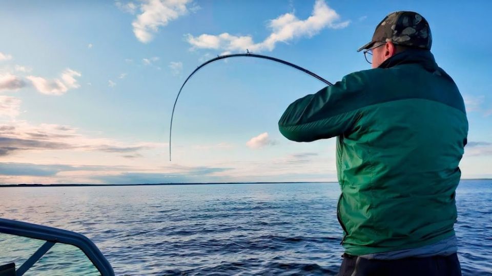 � ���������� ������� ������� ���������� �������