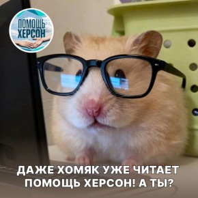 �� �������, ��� ���������, ��� �������� �����������?