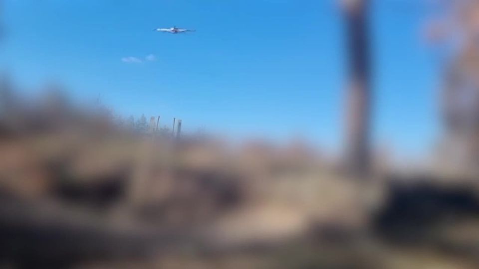 �� ������ ������ ������ ������� ������ ���������� ����������