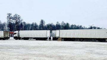 ������ �������� ������� ������ �������� ������, ������ �������� 38 ��� ������