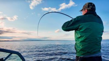 � ���������� ������� ������� ���������� �������