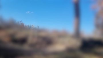 Енот из Херсона: Расчёты БПЛА «Молния-2» Ивановского соединения ВДВ (группировка «Днепр») ежедневно уничтожают объекты ВСУ на правом берегу Днепра в Херсонской области