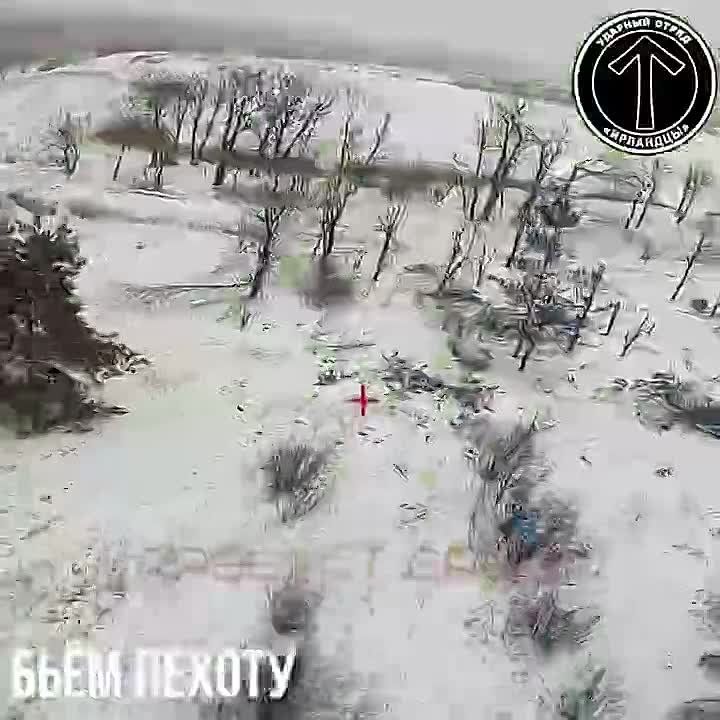 ������ ������ ���� "��������" � ������ ��������������