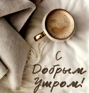 ������ ����, �����!. ������� �������, 29 ������