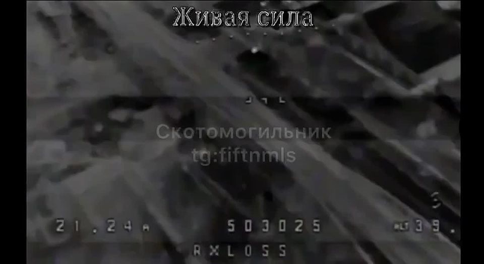 Ночной террор пешеходов-бегунков