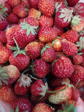 ������� �� ������ ����������!