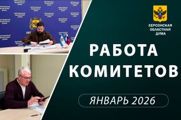 Совершенствование административного законодательства и местного самоуправления