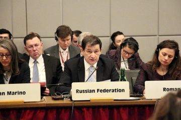 ������������ ������ ��� ����: