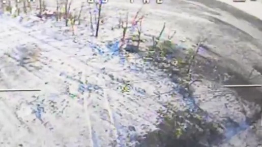 ���� �� �������: ������������� 11-� ����������� ��������-��������� ������� ���������� �������� ��� ��������� ������� ������������� � ����������� �������