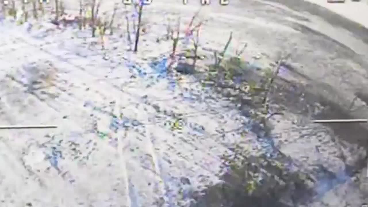 Енот из Херсона: Подразделения 11-й гвардейской десантно-штурмовой бригады установили контроль над населённым пунктом Новояковлевка в Запорожской области