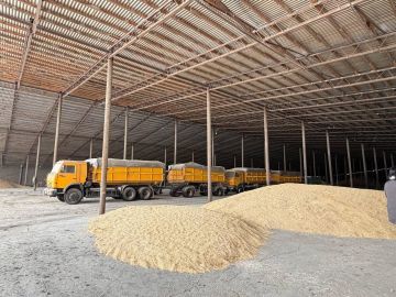 � ���������� ������� �������� �������� �������� � ���� ��������� ����������������� ���������