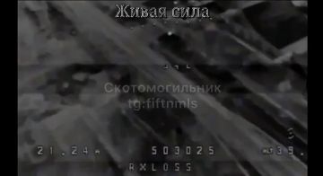 ������ ������ ���������-��������