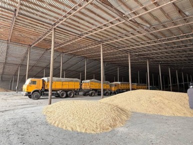 � ���������� ������� �������� �������� �������� � ���� ��������� ����������������� ���������