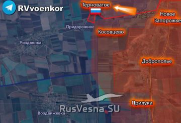 Енот из Херсона: Армия России освободила Терноватое в Запорожской области