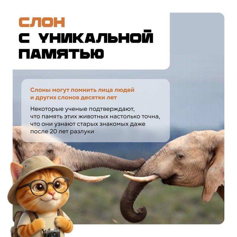 ���������� ����������!. �� ������ � ������� �� ����������� �� �����, ������� ����� ���������� �����, �� ������� � ������� ������� � ������ �� ��������, ������� �������� ��� �� ������ ���� � ��� ����� ����������� ������