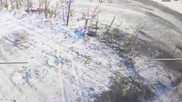 ���� �� �������: ������������� 11-� ����������� ��������-��������� ������� ���������� �������� ��� ��������� ������� ������������� � ����������� �������