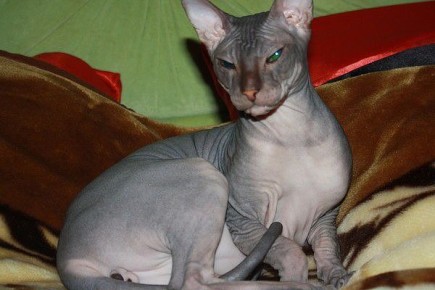 ��������, ����� ���������� �������� ��� �������� ���������� ���������!