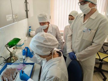 Кубанские ветеринары рассказали о результатах взаимодействия с херсонскими коллегами