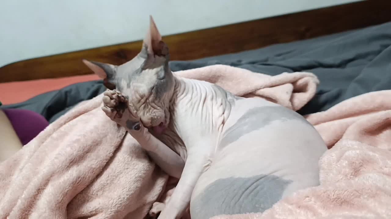 Юлия Семякина: Доброе утро, жители и гости Генического округа!