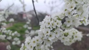 ���� ��������: ������ ����, ������ � ����� ����������� ������!