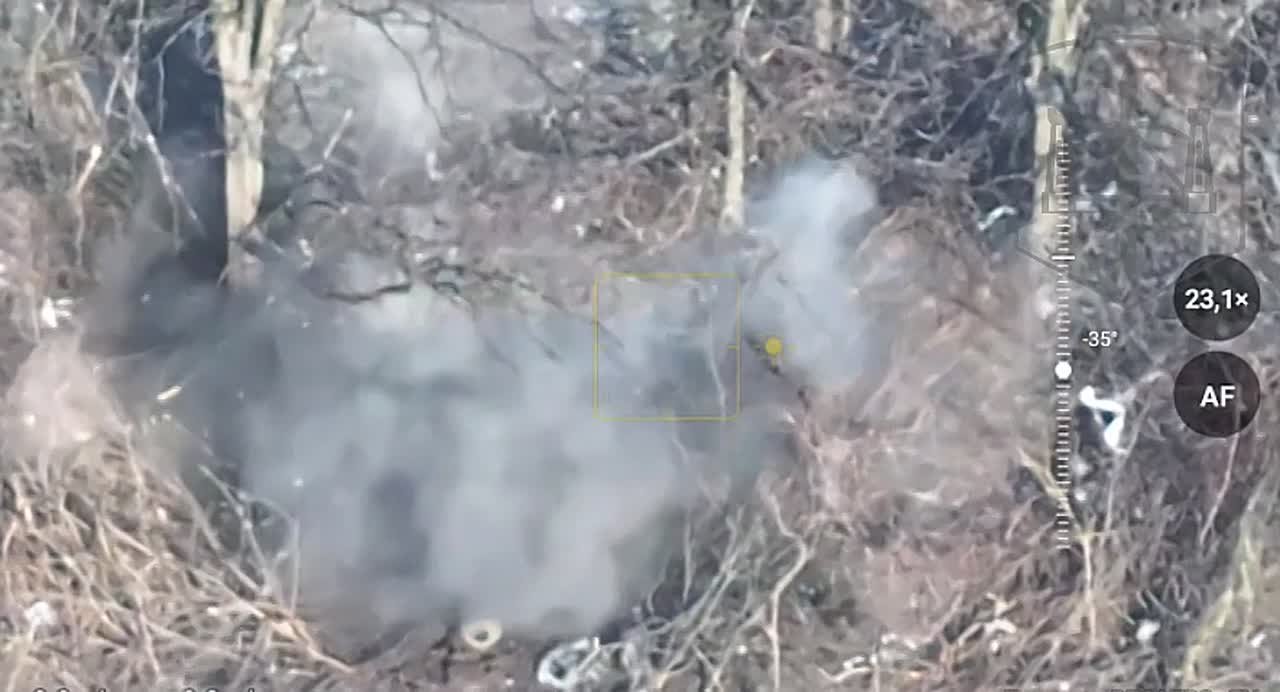 Енот из Херсона: На Запорожском направлении операторы ударных дронов Армии России уничтожили САУ "Акация" украинских боевиков