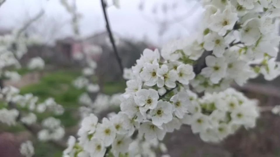 ���� ��������: ������ ����, ������ � ����� ����������� ������!