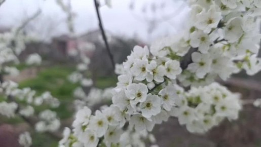 ���� ��������: ������ ����, ������ � ����� ����������� ������!