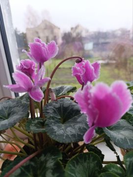 ������ ���������� ����!. �� ����� ������ � ���� ������� �����, ����������� -10 � ��������, � �� ����� ������ ����� ������ �����