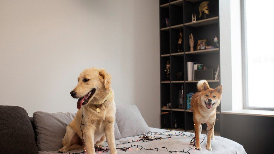 �������� �������. ������� ���������, ������� �������� ����� ������� � ��������