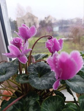 ������ ���������� ����!. �� ����� ������ � ���� ������� �����, ����������� -10 � ��������, � �� ����� ������ ����� ������ �����