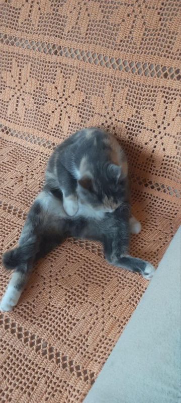 ���� ������� � ��� ��������� ����� ������ � �������