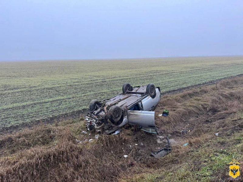 � ������������ ������ ����������� ������������� �������������� ��� � ����� �������������