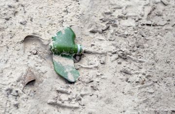 � ���������� ������� ������������ ���������� �� ���� "��������"