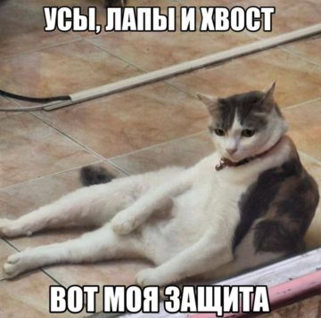 ������ ������. � ������������� �� �������� ������������ � ����������� �������� ��������, ���� �������� � ���� ������