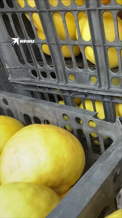 ���������� � ������� ���������� ������ �������� ������ ����������� ������