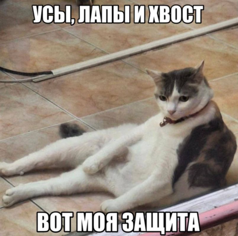 ������ ������. � ������������� �� �������� ������������ � ����������� �������� ��������, ���� �������� � ���� ������