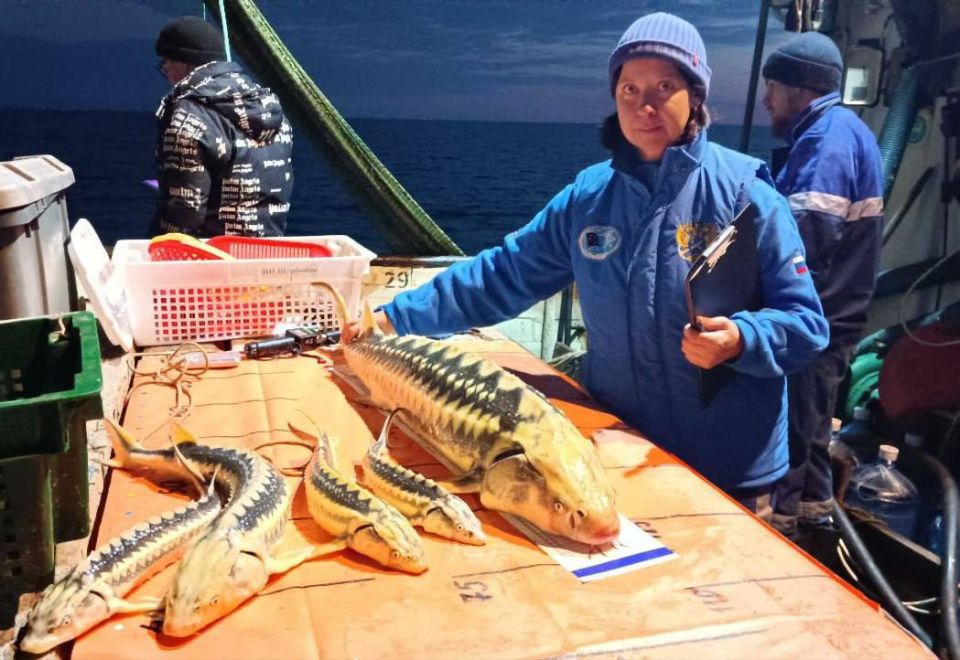 �������� ���� ����� ��� ����� ������� ���� ����� ��������� ����� �������� ��������� � ������