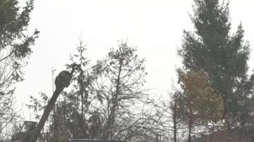 ���� �� �������: ������ ���� �������������-�����������: ��������� �������������� ����� ��� � ������� �������