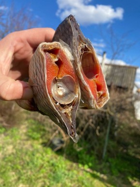 �����, �� �������� ����� ������