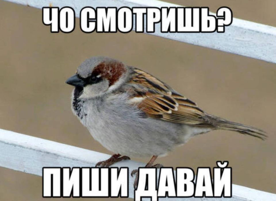 ������������� �������� �������� �������� � ������