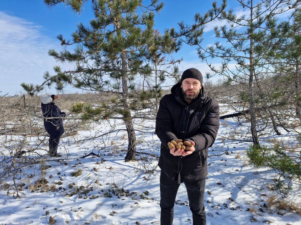 ���������� ������ ��������: �� ������ ������� ����� ����������