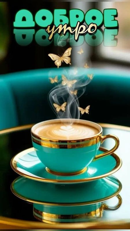 ������ ����, ������ ������!