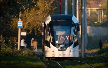 � ���� �������� 17 ����������� ��������