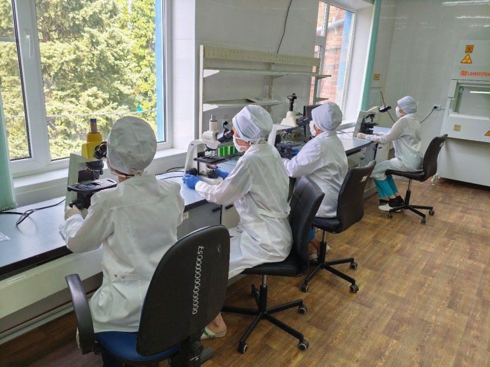 ��������� ���������� ��������� ������ �� �������� ������������ ����������� � ���������� �������