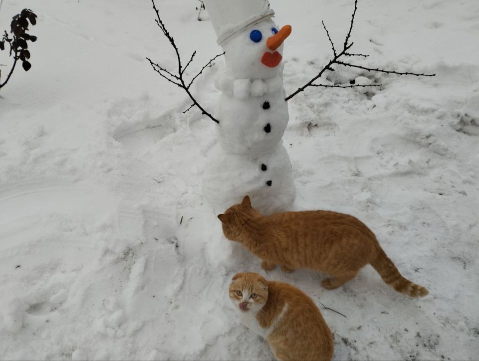 ������ ����, ������� ������ ���������� ������!