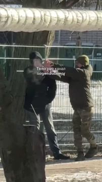 ���� �� �������: � ������ �������� ������ ����� �����